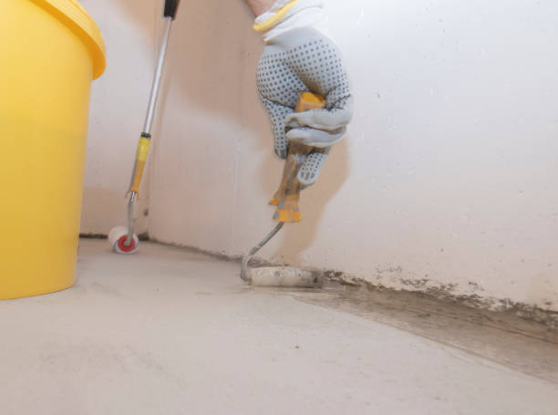 Best Fumigation Services  in San Antonio, FL